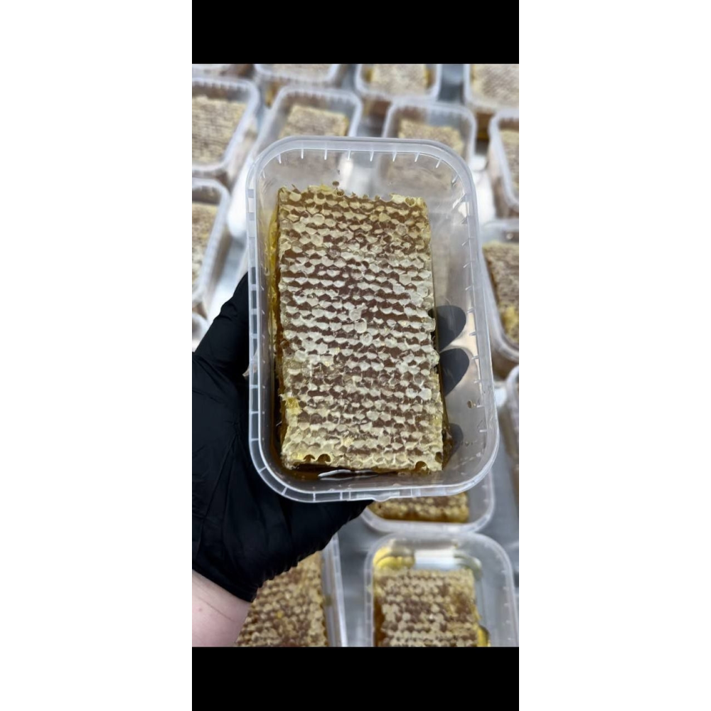 Мед у стільниках урожай 2024 року 300 г